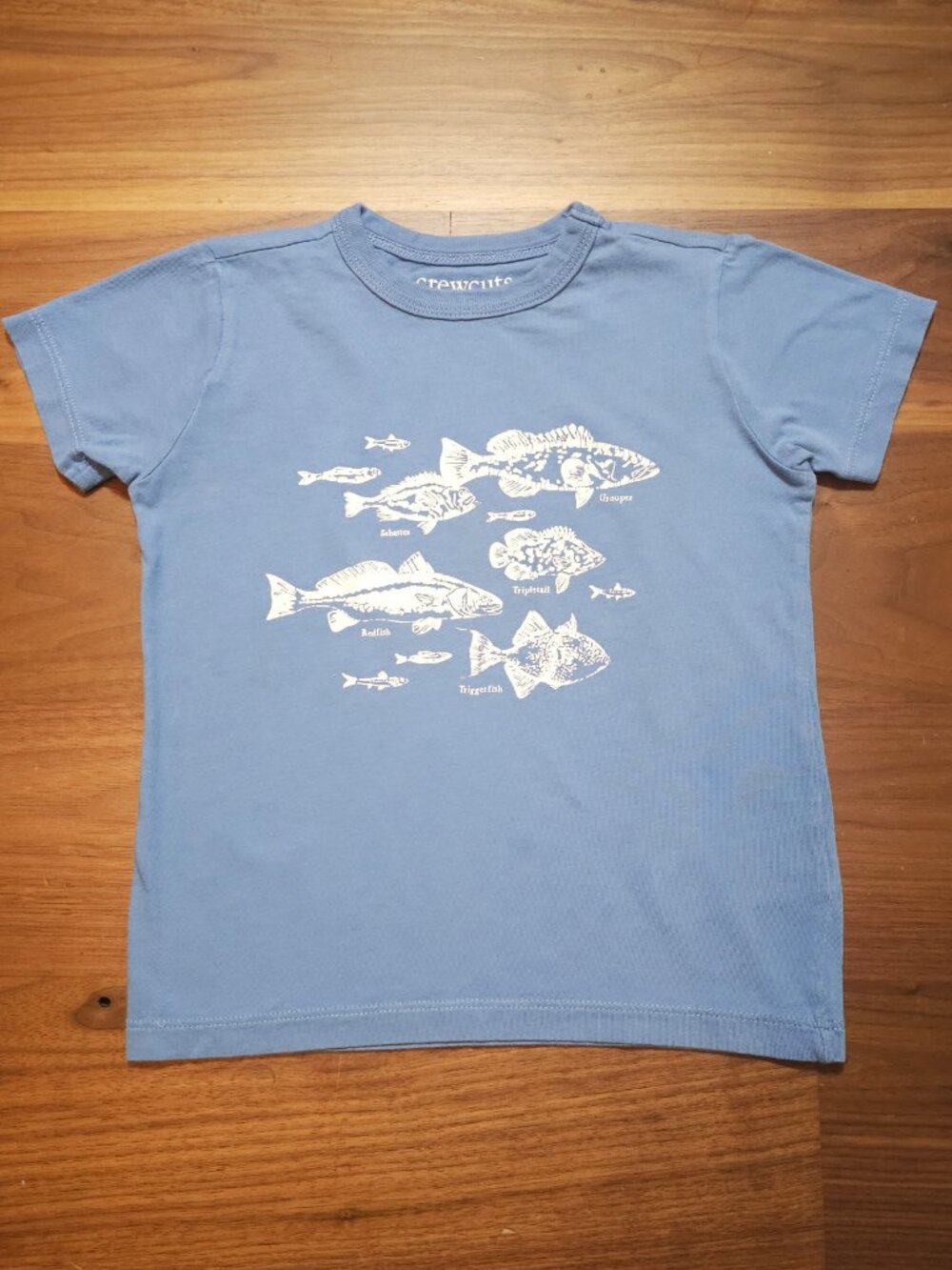 Crewcuts J Crew Boys Graphic Tee Lot 5 Pc 2T 3T - Picture 2 of 11